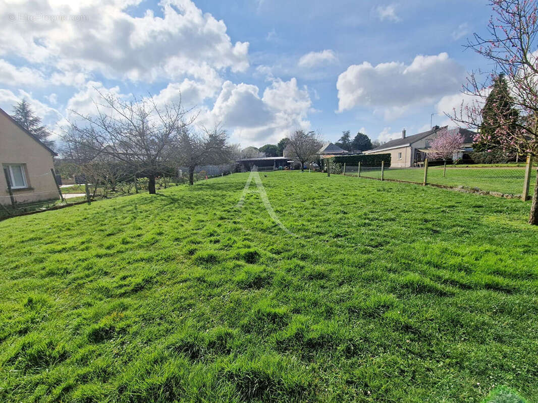 Terrain à DOUE-LA-FONTAINE