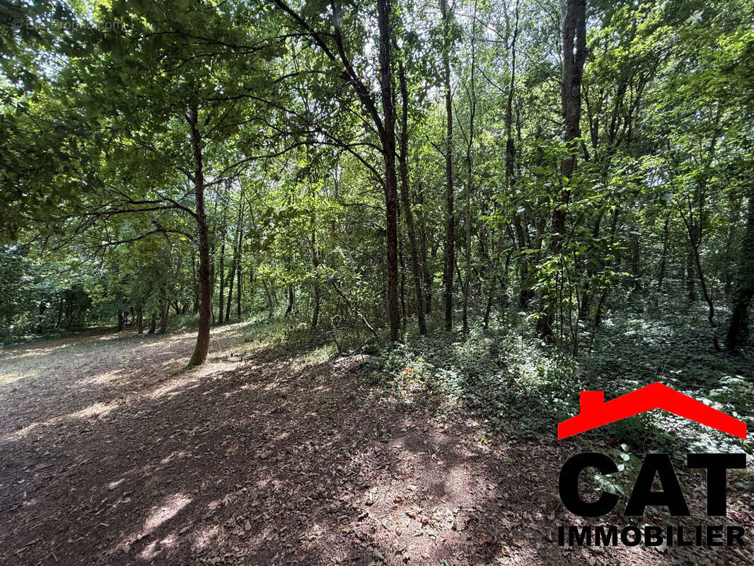 Terrain 3785 m² à Vernou-La-Celle-Sur-Seine  - photo 3