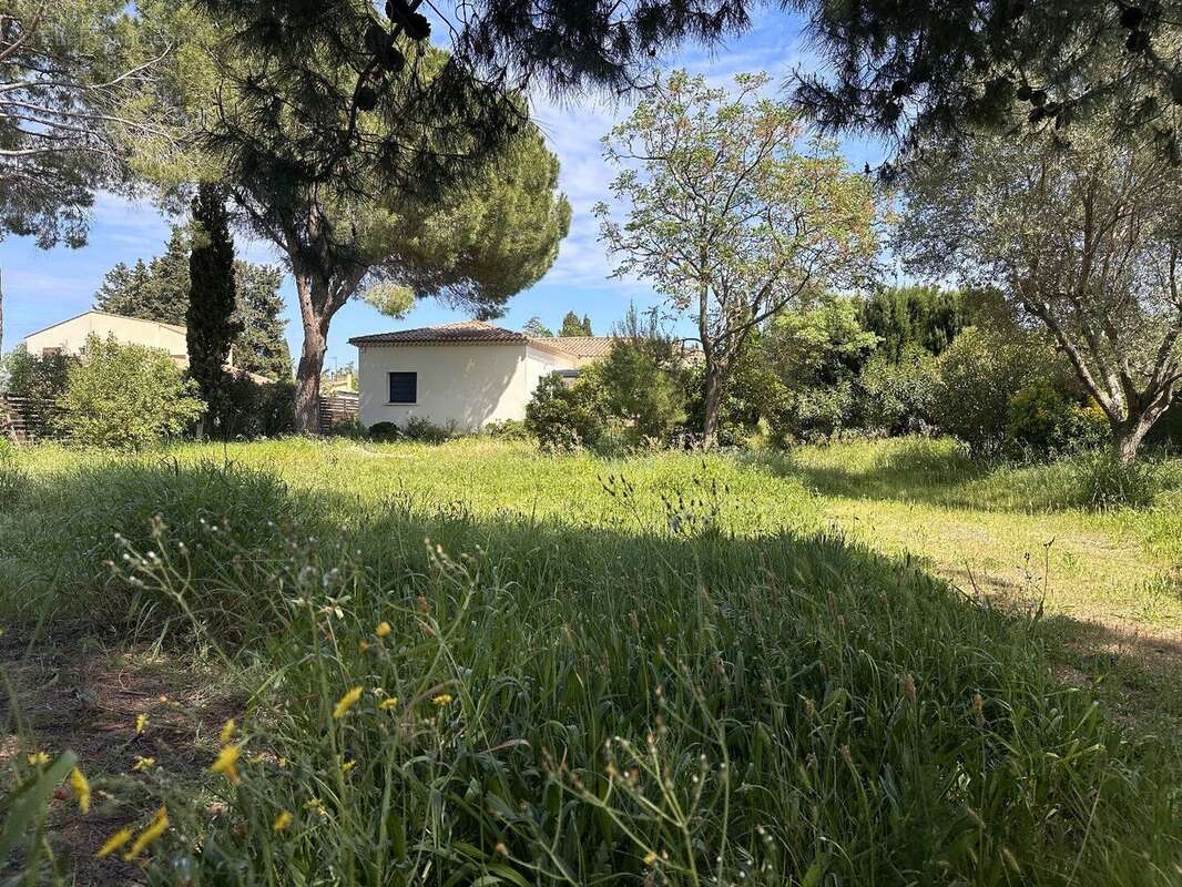 Photo 2 - Maison à PEZENAS