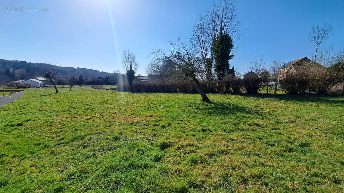 Terrain à CHAPDES-BEAUFORT