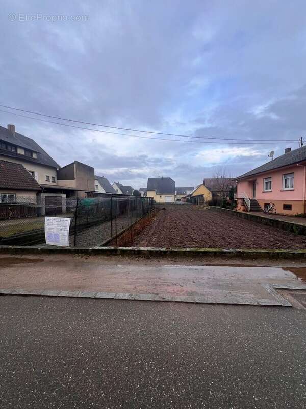 Terrain à SELESTAT