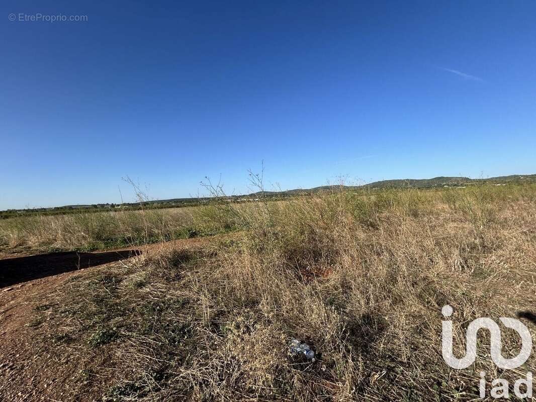 Photo 4 - Terrain à BOUZIGUES