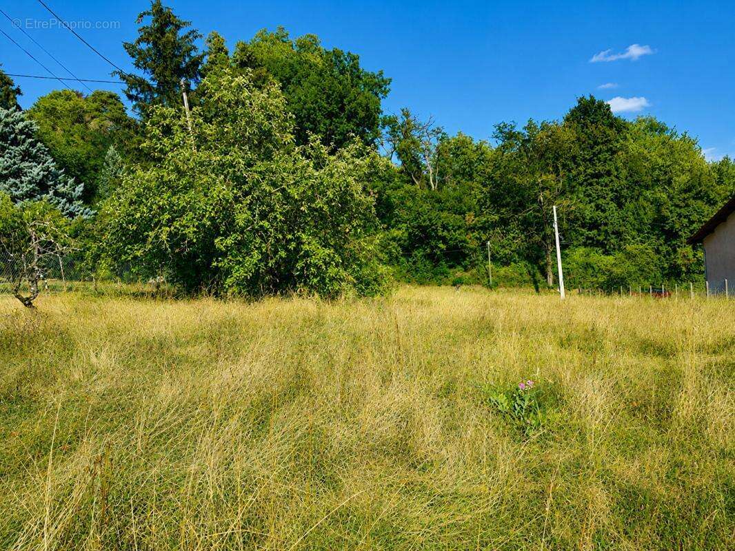 Terrain Gillonnay 888 m2 - photo 2