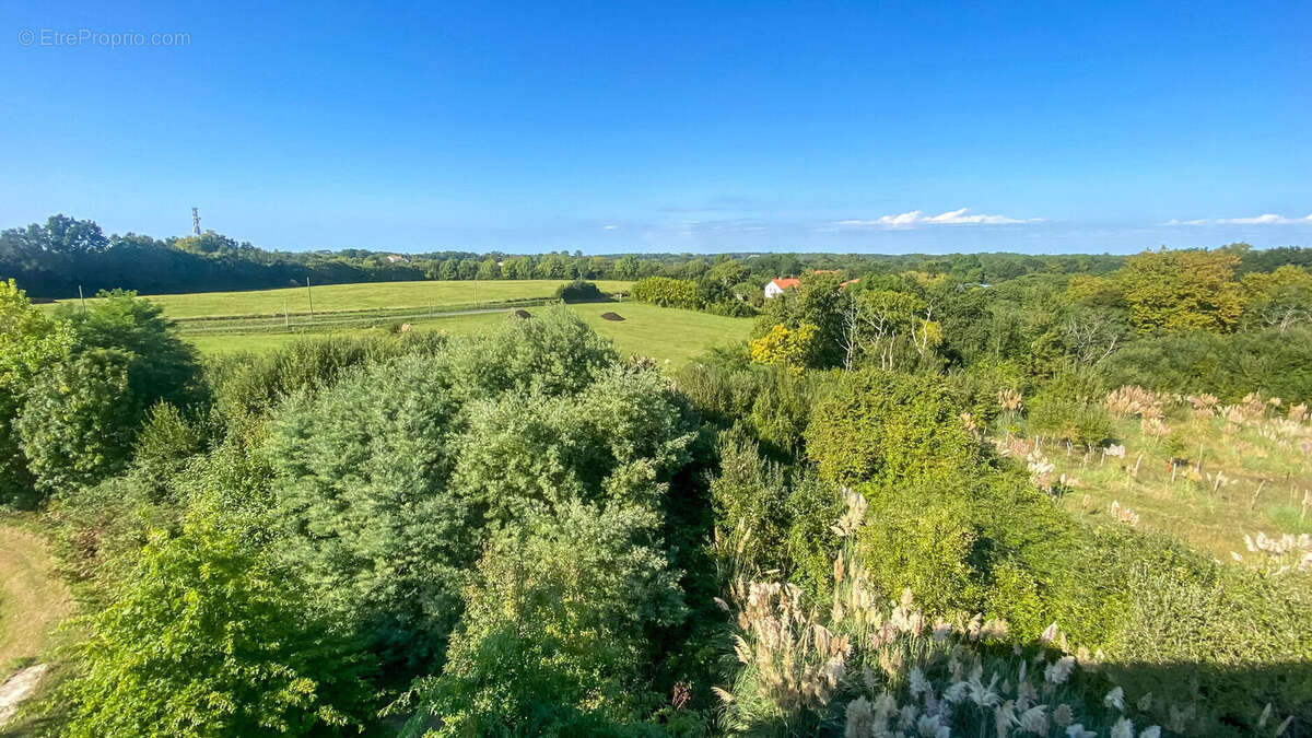 Photo 2 - Appartement à BAYONNE