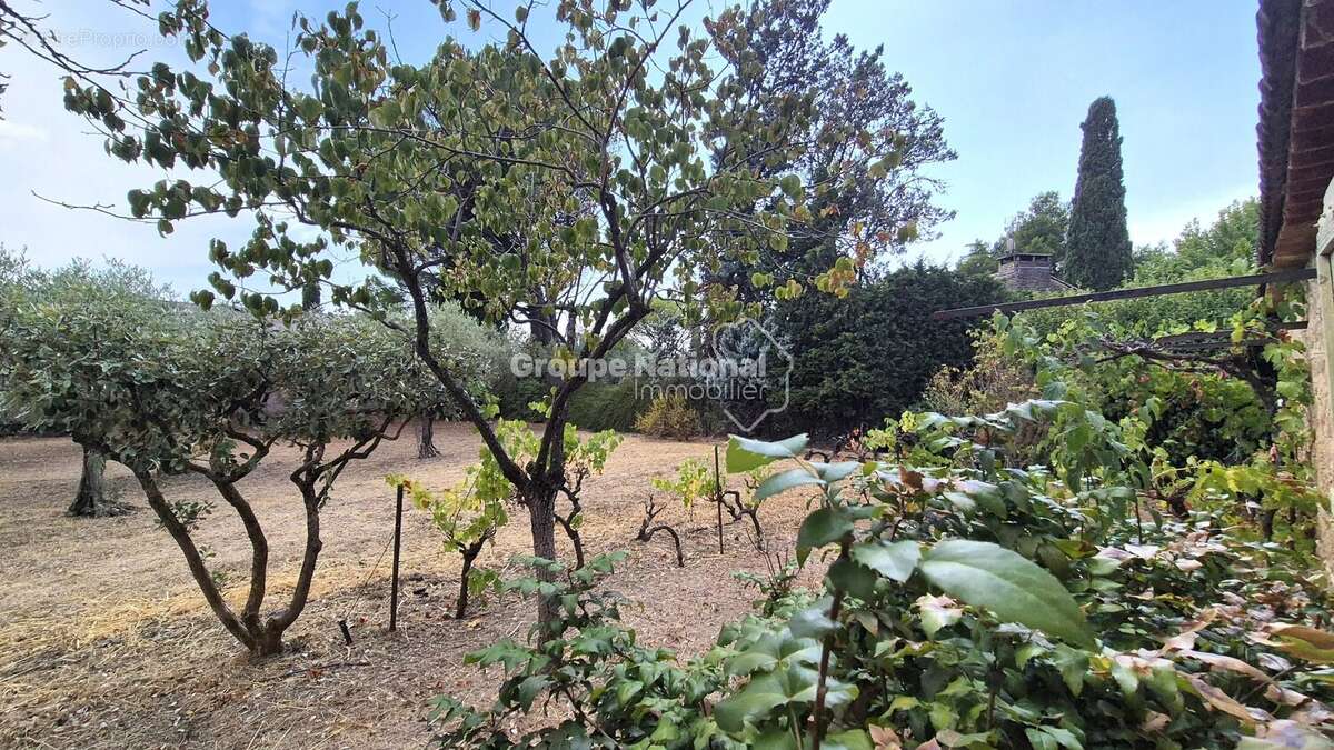 Beaumes de venise mas de caractere sur 2893 m² de terrain - photo 13
