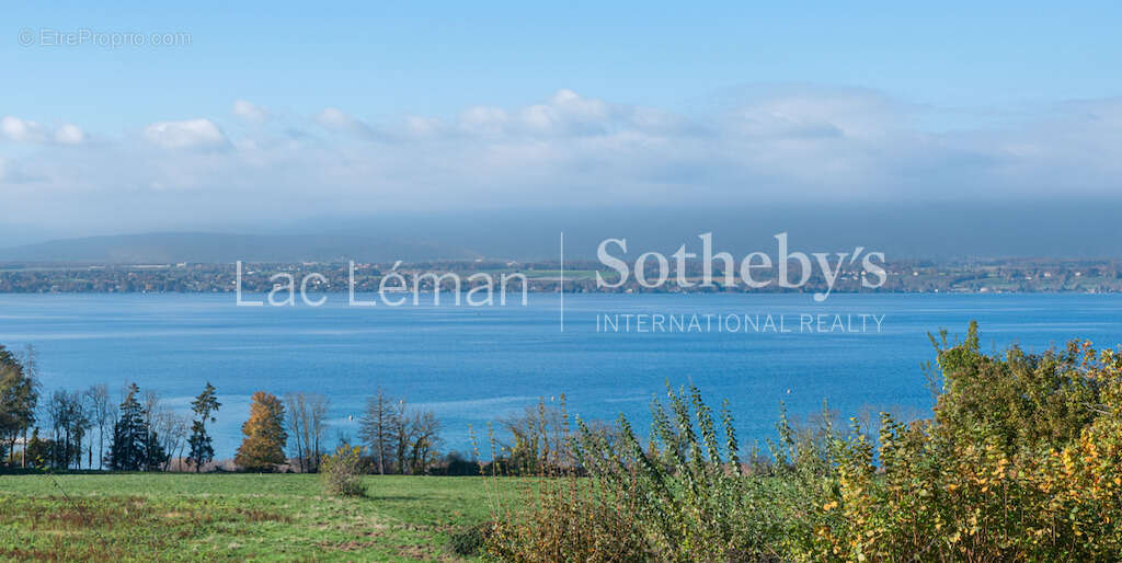 Maison à CHENS-SUR-LEMAN