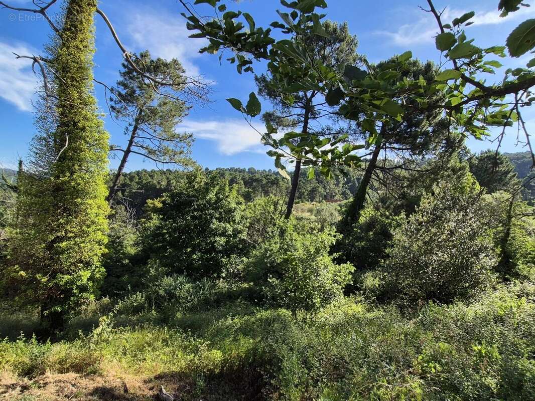 Maison à LAVAL-PRADEL