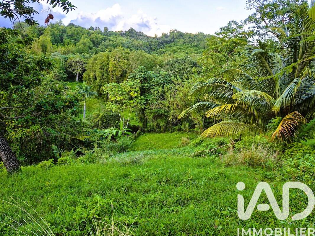 Photo 1 - Terrain à DUCOS