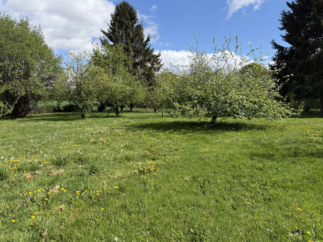 Maison à NEUVIC-ENTIER