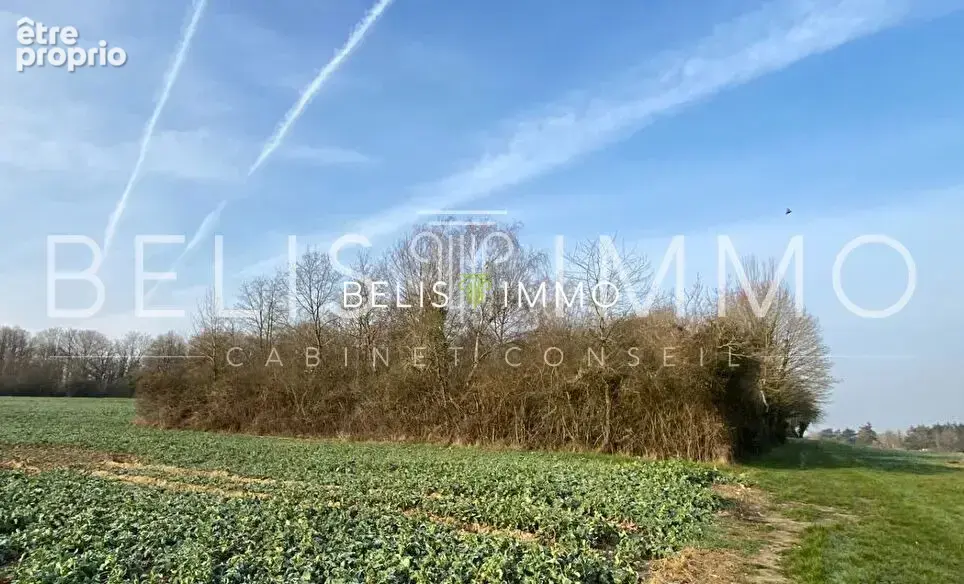 Terrain 2 290 m² à vendre à Amboise (37400) - photo 4