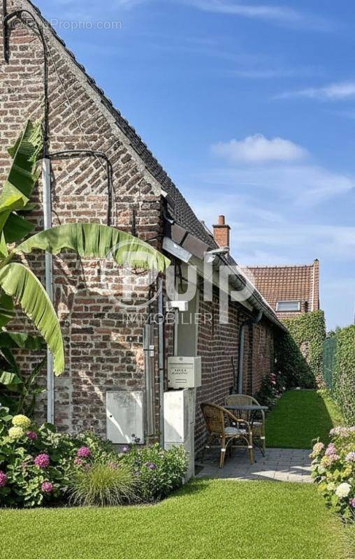 Maison à COUTICHES