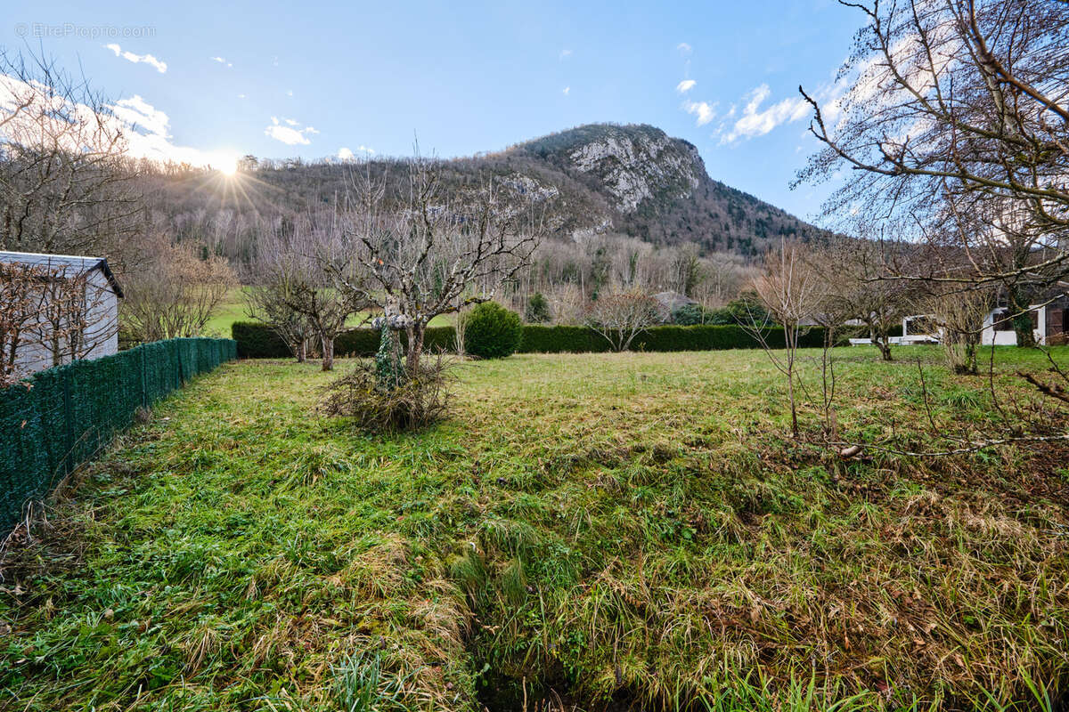Terrain à DUINGT