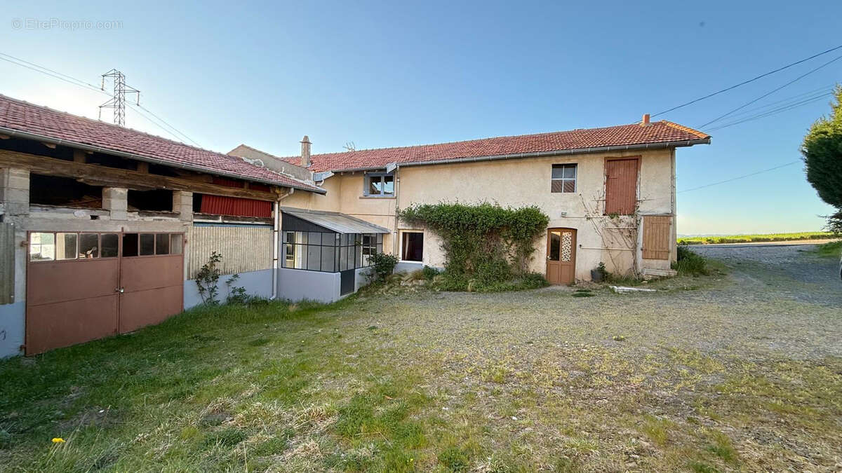 Maison 100 m² à Chazelles-Sur-Lyon  - photo 3