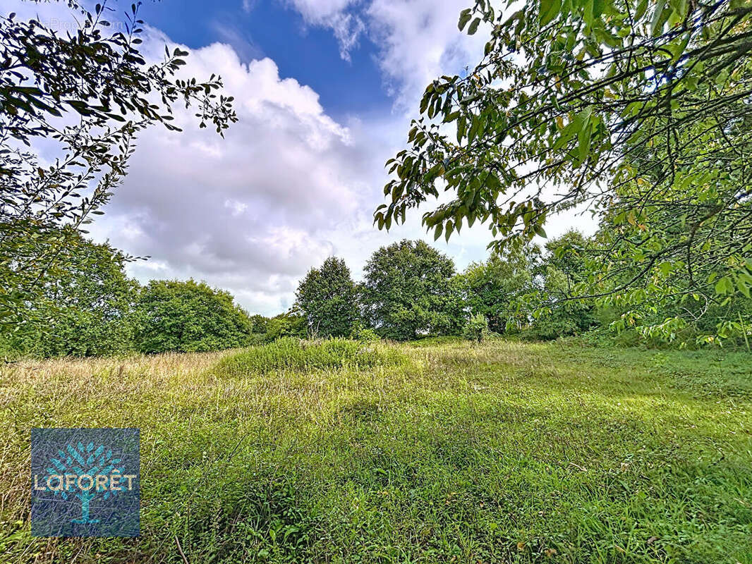Maison à CHASNE-SUR-ILLET