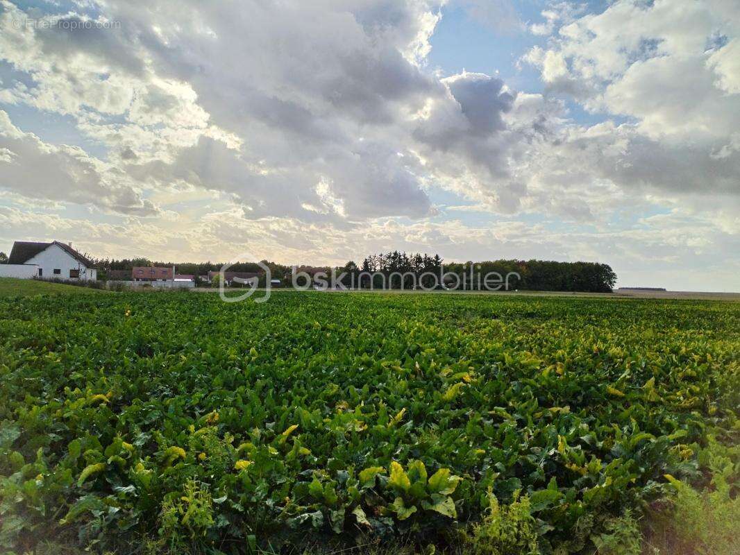 Terrain à CAUROY