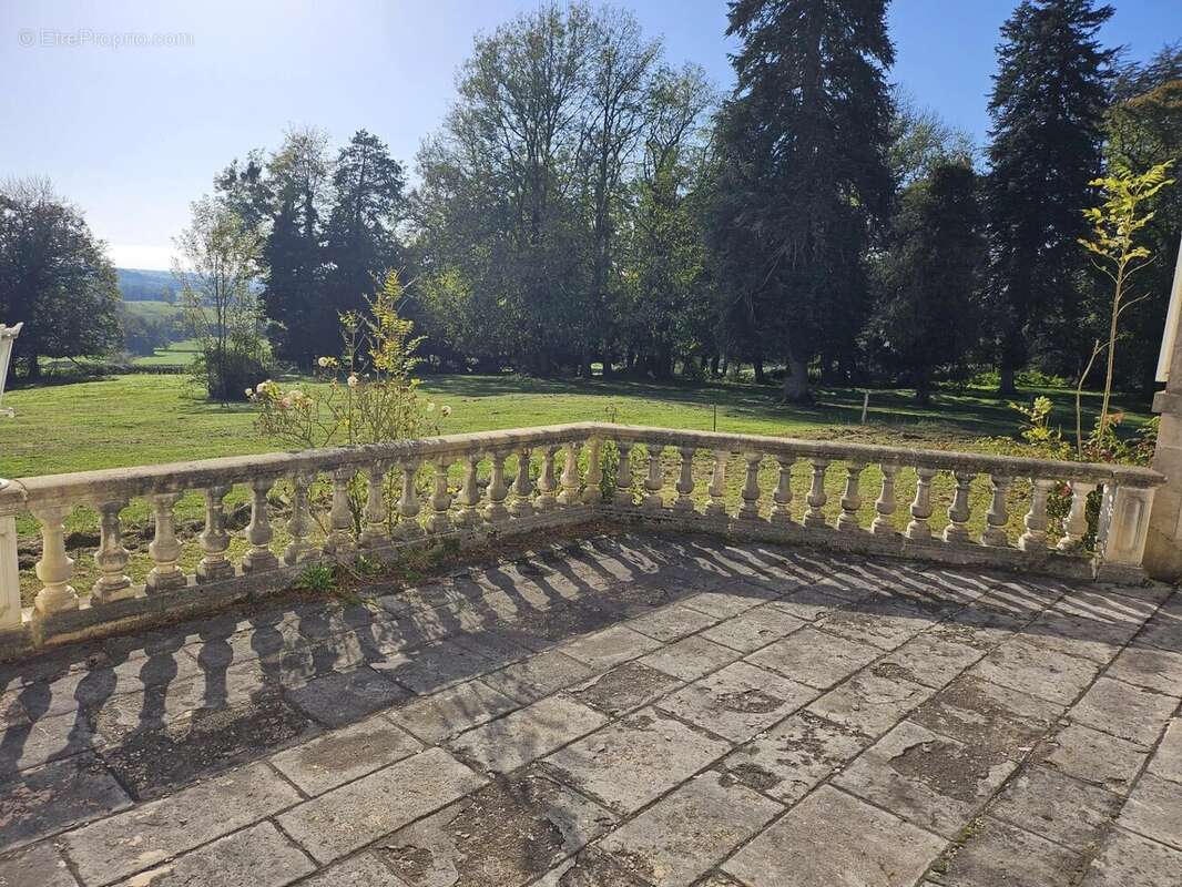 Château Historique à Moulins-Engilbert - photo 5