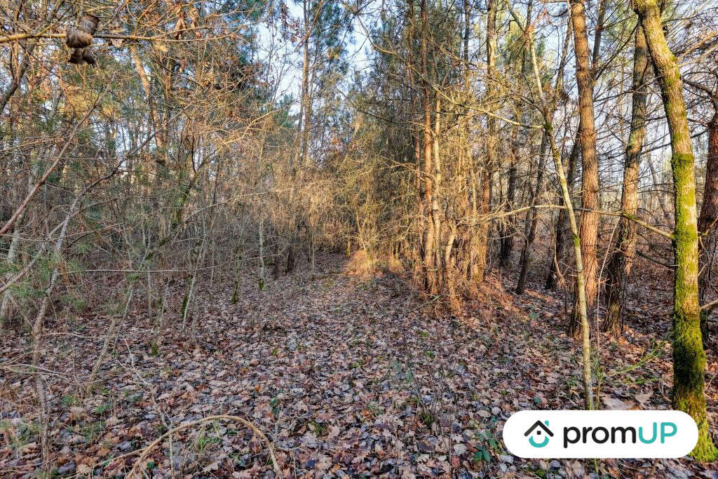 Terrain à CHATILLON-SUR-CHER