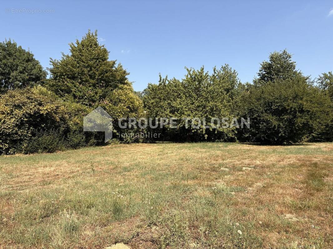 Photo Terrain à Montauban au prix de 82 000€