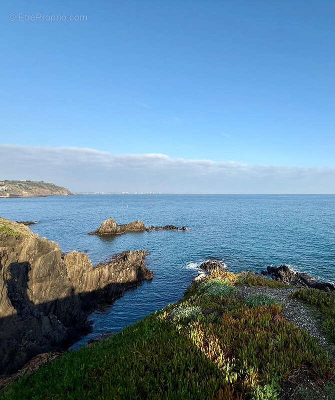 Appartement à COLLIOURE