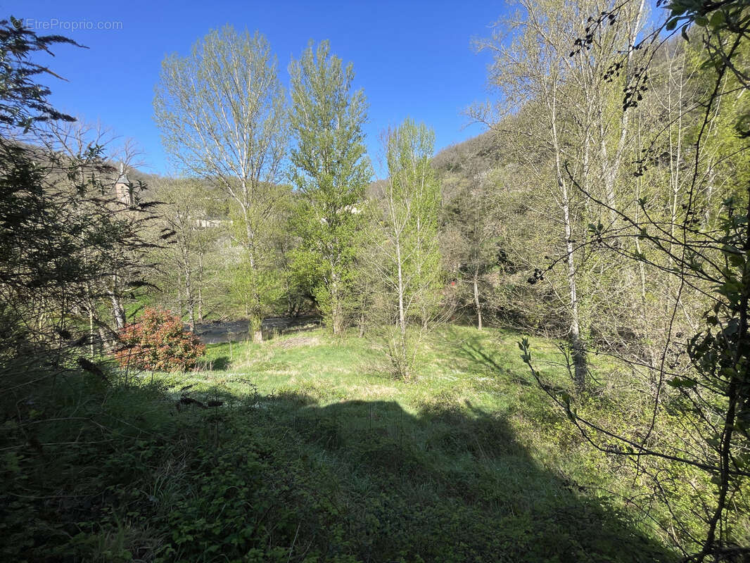 Maison à BALAGUIER-SUR-RANCE
