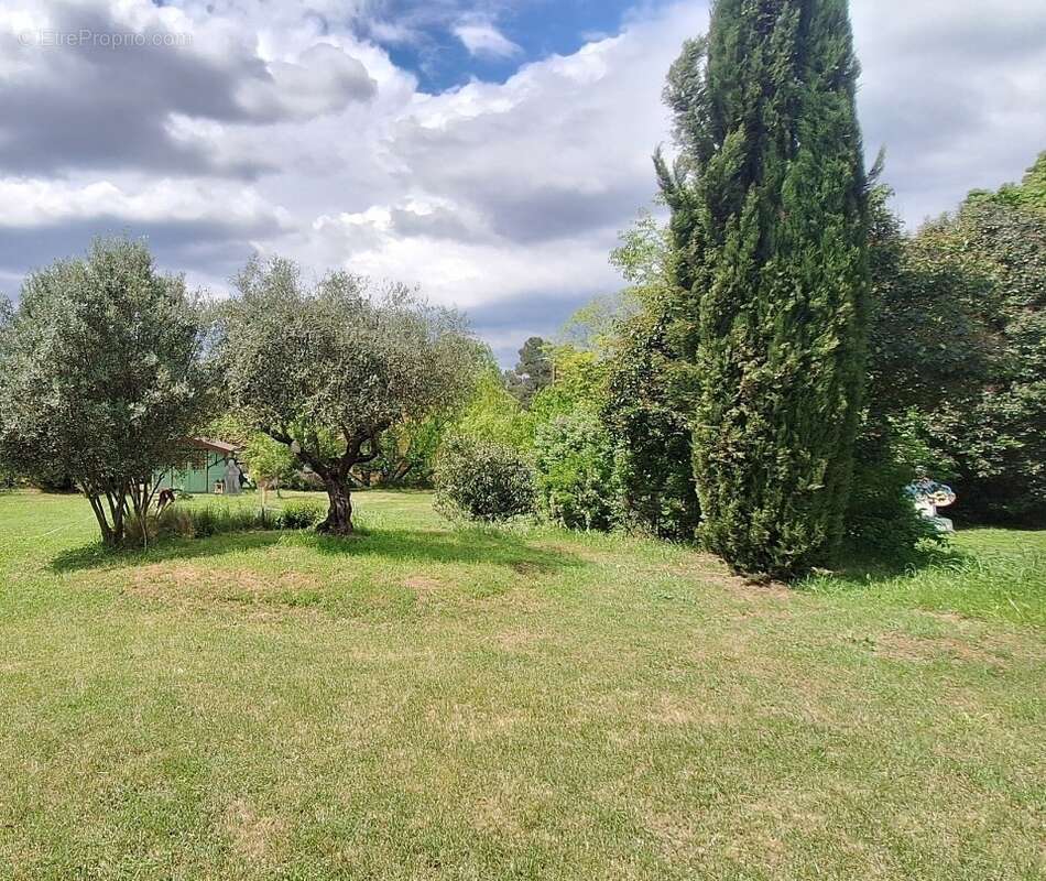 Terrain à VILLECROZE