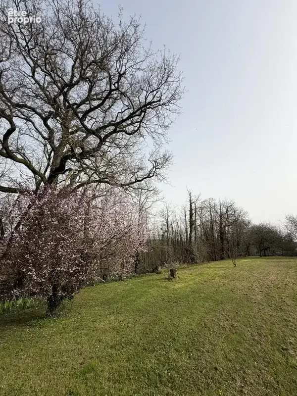 Maison 250 m² à Le Puiset-Dore  - photo 6
