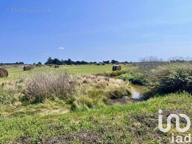 Photo 9 - Maison à LA BARRE-DE-MONTS