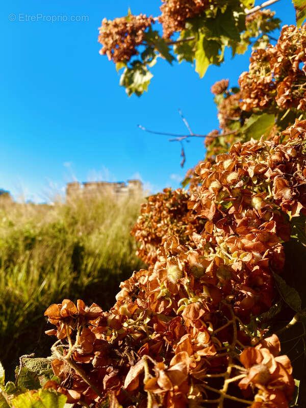 Terrain à SAINTE-MARIE