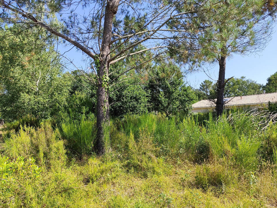 Terrain à VENDAYS-MONTALIVET