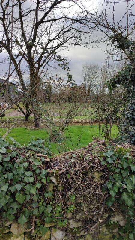 Terrain à AZAY-LE-BRULE