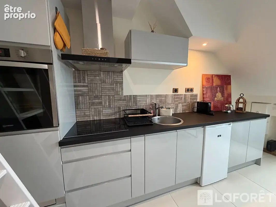 Appartement Oye Et Pallet 1 pièce 19.6 m2 - photo 3