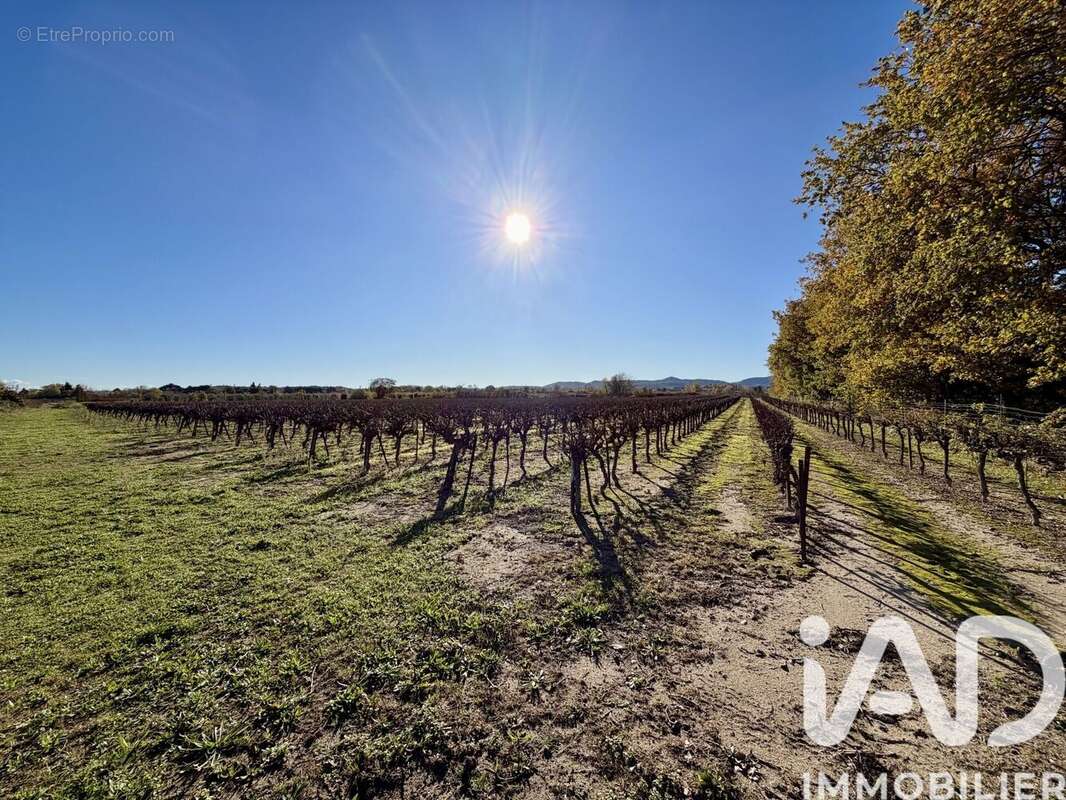 Photo 2 - Terrain à LAUDUN-L'ARDOISE
