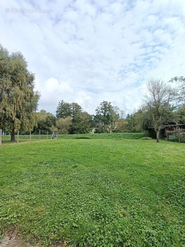 Maison à DIEMERINGEN