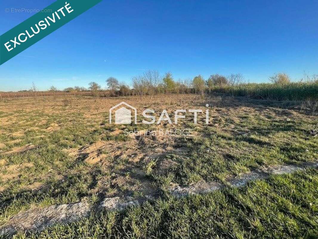 Photo 3 - Terrain à VILLENEUVE-LES-BEZIERS