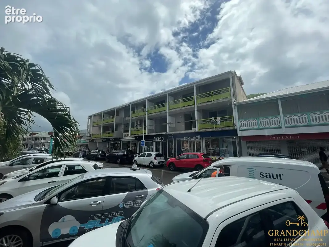 Photo Appartement à Saint-Martin au prix de 1 600 000€