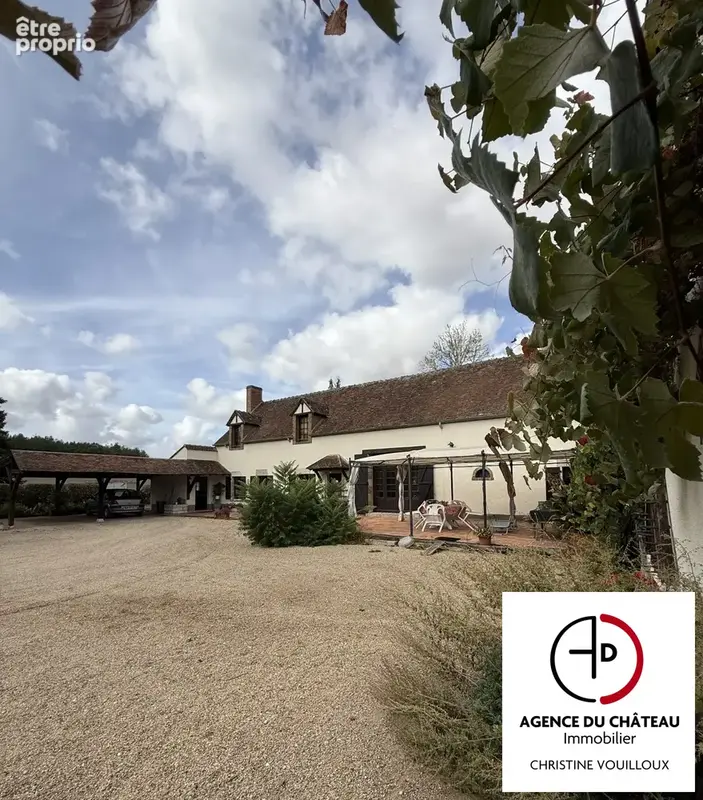 Maison 7 pièces 280 m² à vendre à Bray-En-Val (45460) - photo 5