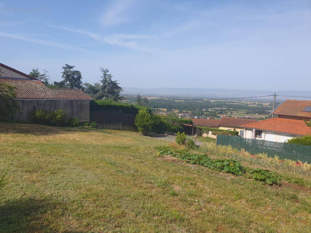 Terrain à SAINT-GALMIER