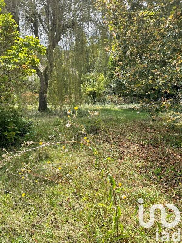 Photo 1 - Terrain à TRIEL-SUR-SEINE