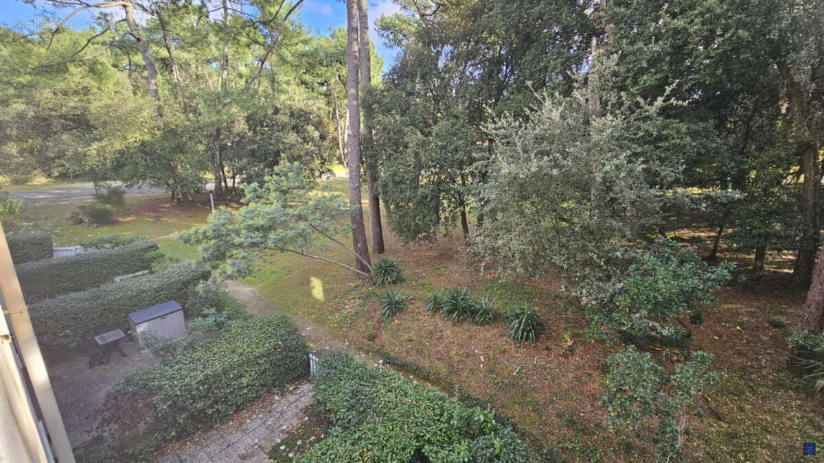 Appartement à SAINT-GEORGES-DE-DIDONNE