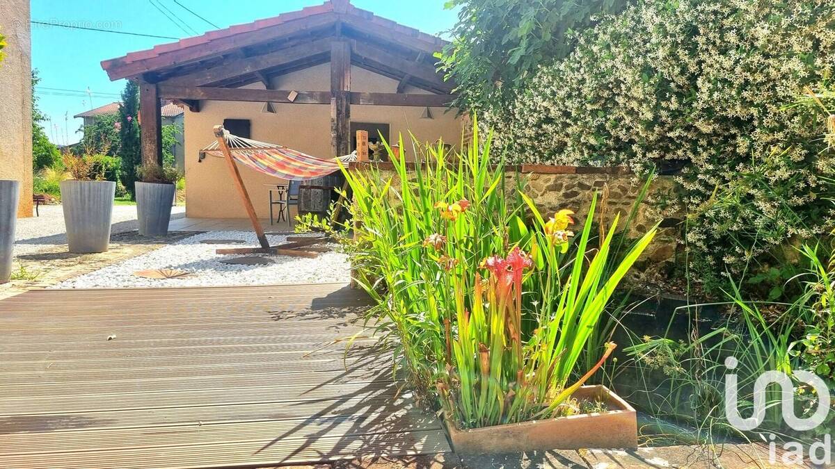 Photo 1 - Maison à ALBI