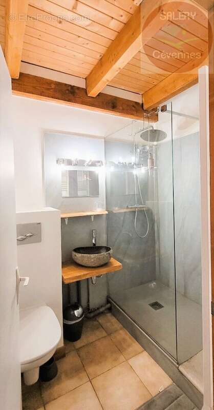 Maison à MAS-SAINT-CHELY