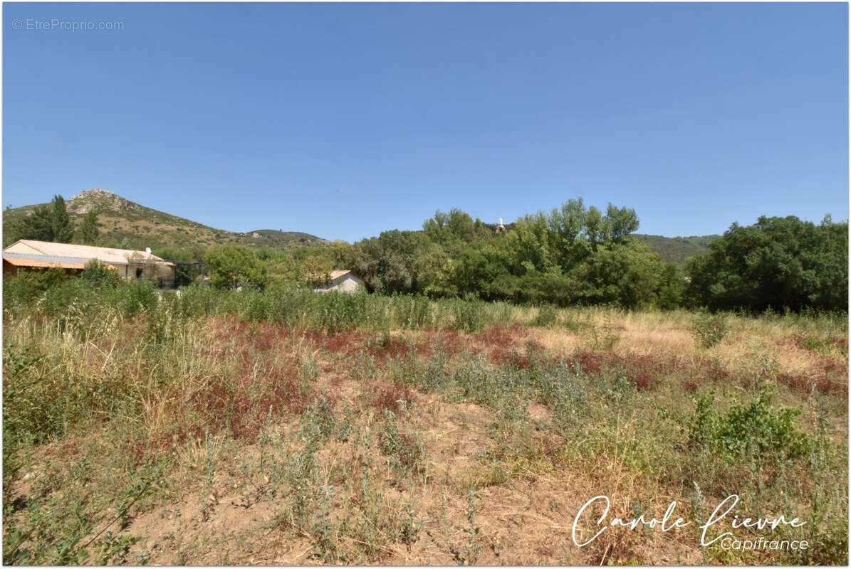 Terrain 2000 m² à vendre CABRIERES (34) - photo 3