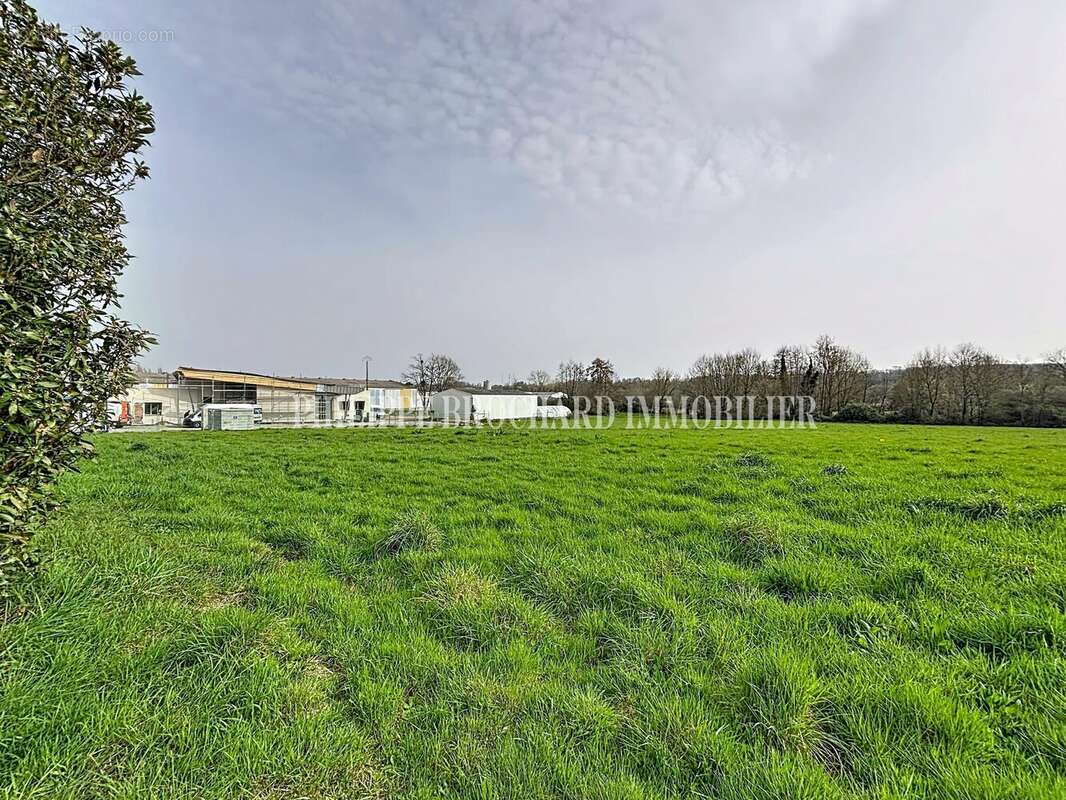 Terrain à MAREUIL-SUR-LAY-DISSAIS