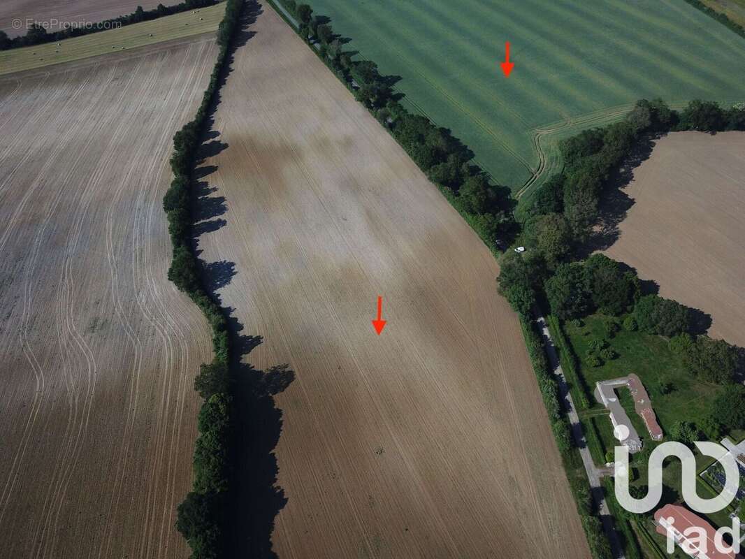 Photo 4 - Terrain à SAINT-MARTIN-L'ARS