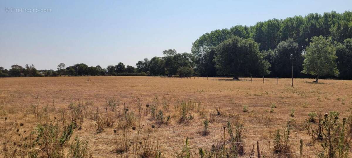 Ancienne ferme a rehabiliter - photo 14