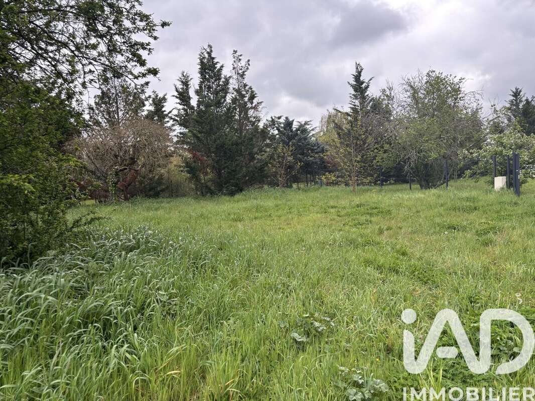 Photo 2 - Terrain à TOULOUSE