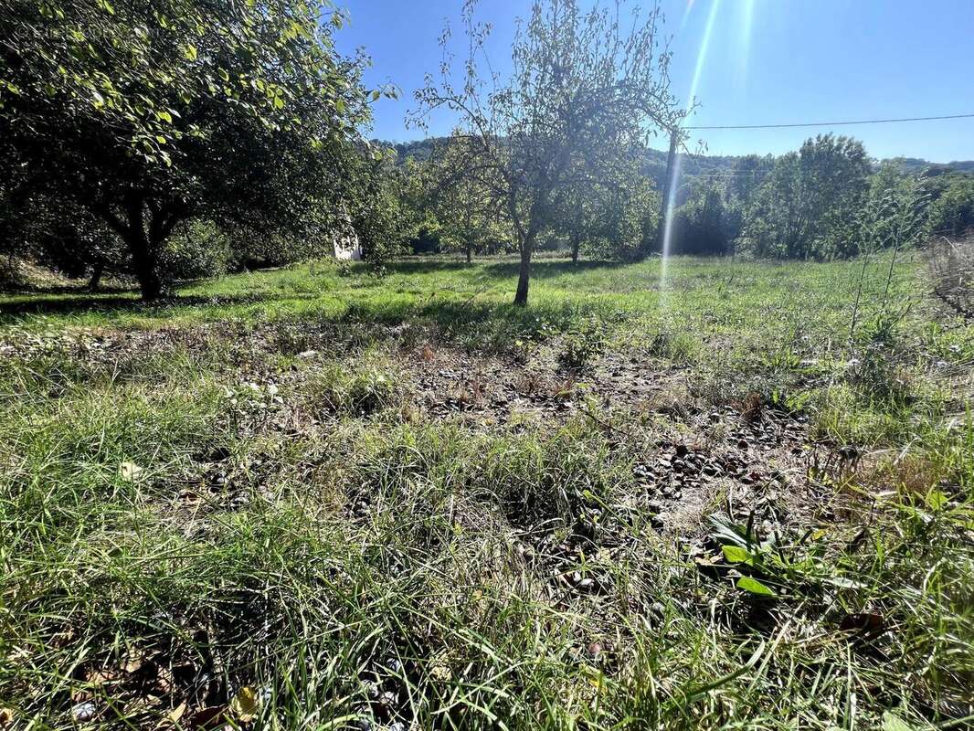 Photo 3 - Terrain à AGEN-D&#039;AVEYRON