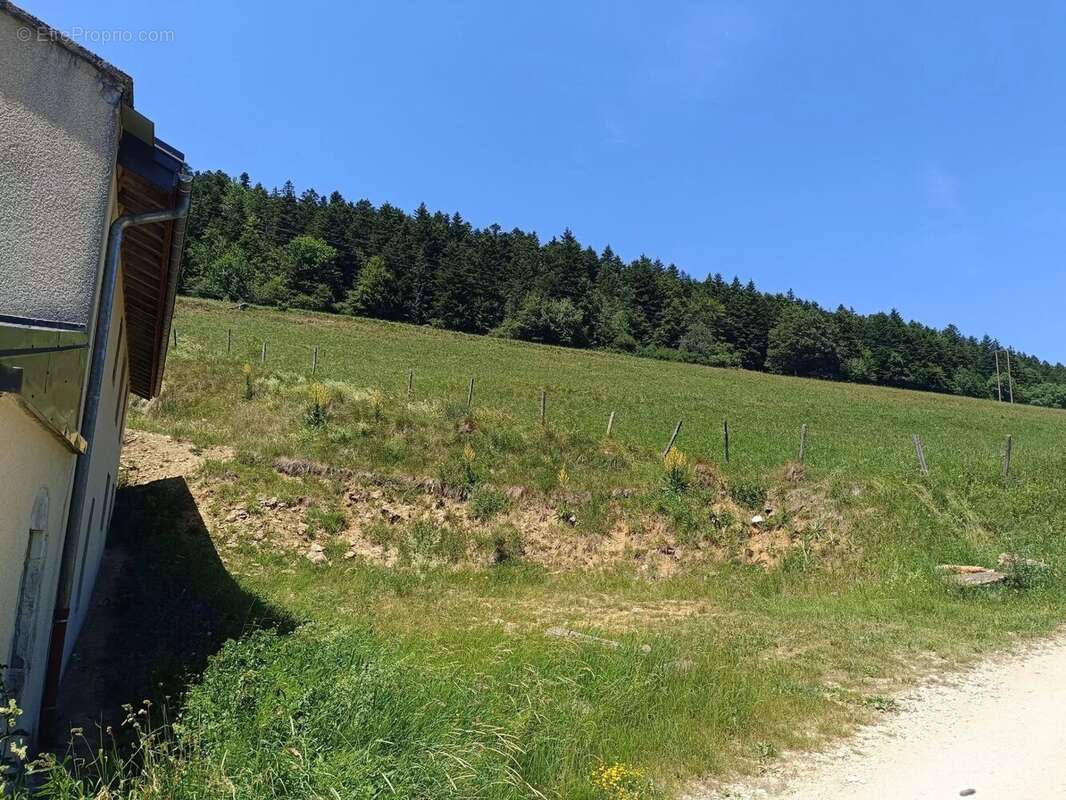 Corrençon en Vercors : Bel appartement T3 duplex ,avec jardin et cave . - photo 12