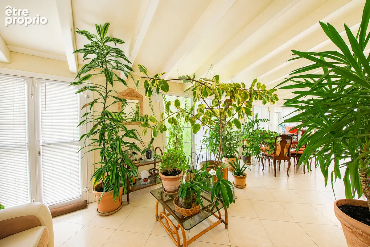 Maison familiale de 250 m² avec piscine et T2 indépendant . En plein coeur de Lucciana - photo 4