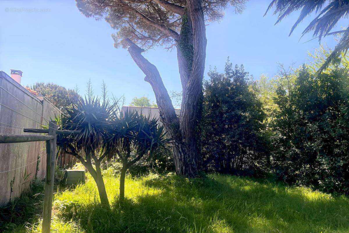 Maison à SAINT-GEORGES-D'OLERON